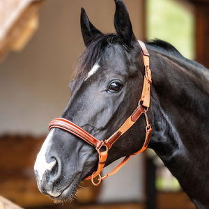 Luna Leather and Webbing Halter