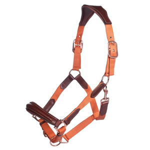 Luna Leather and Webbing Halter